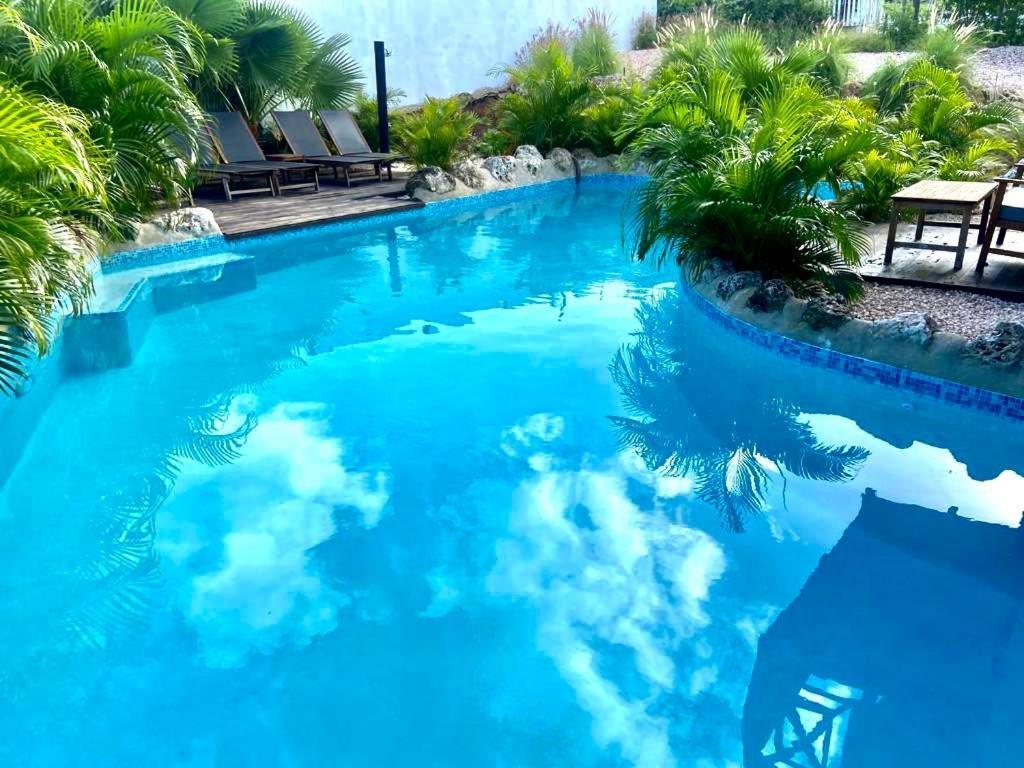 Neue Villa Tropic Paradise Willemstad Buitenkant foto